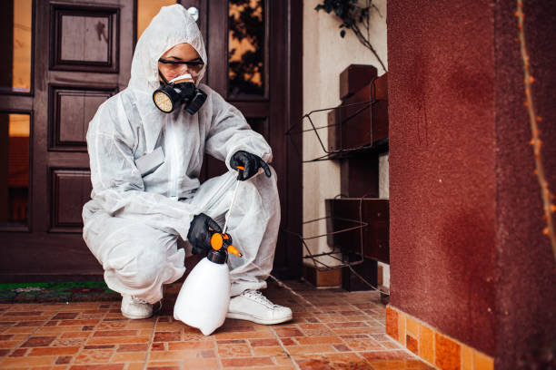 Attic and Crawl Space Rodent Treatment in Schofield Barracks