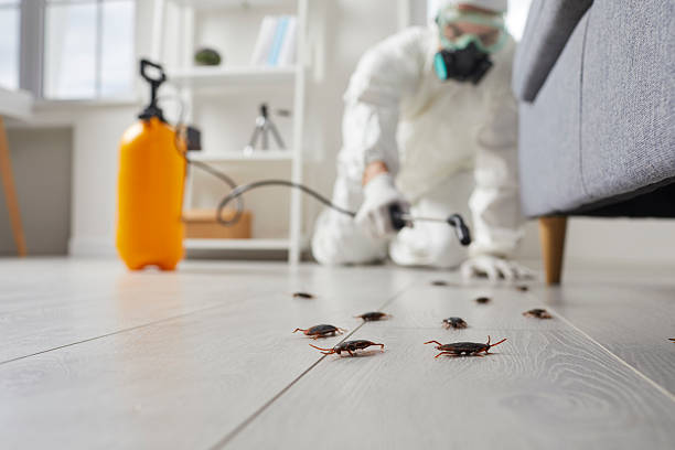 Commercial Rodent Management in Schofield Barracks